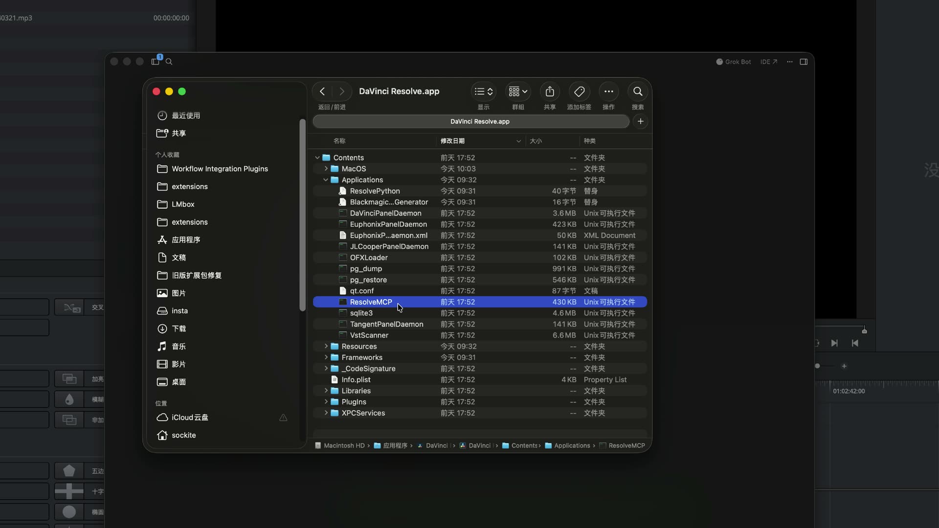 程序包里的 ResolveMCP